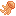 Méduse Ardente