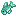 Chromis Turquoise